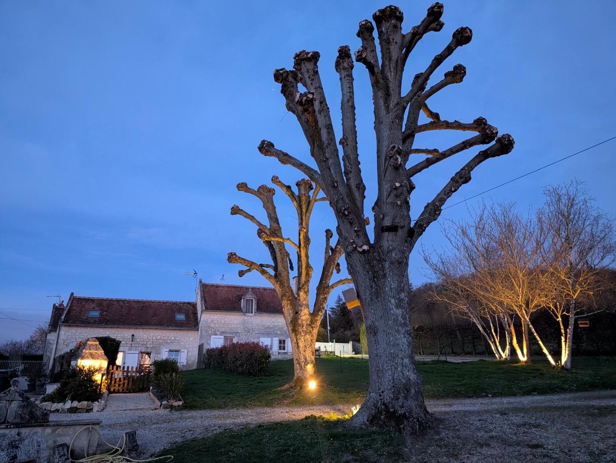Des Basses Rivieres Holiday home Huismes